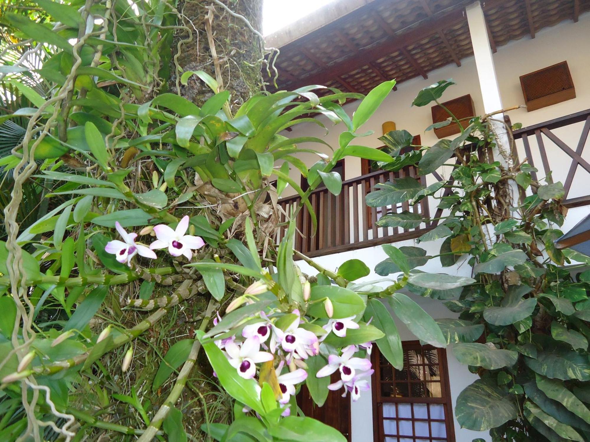 Pousada Laguna Blue 파라티 외부 사진